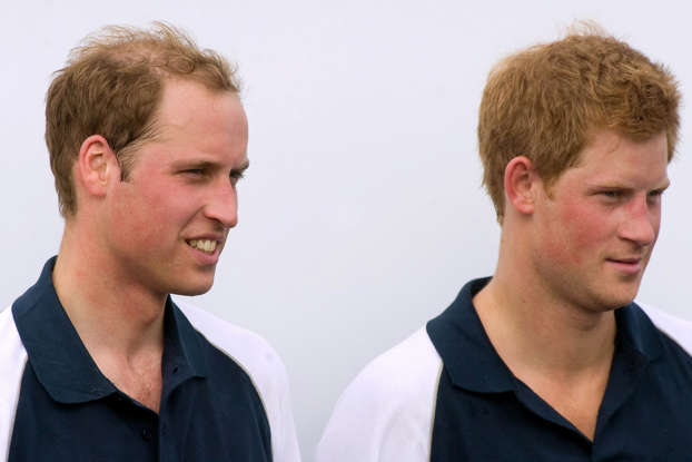 PrinceHarryRevealsTheNicknamesOfTheTwoBrothers
